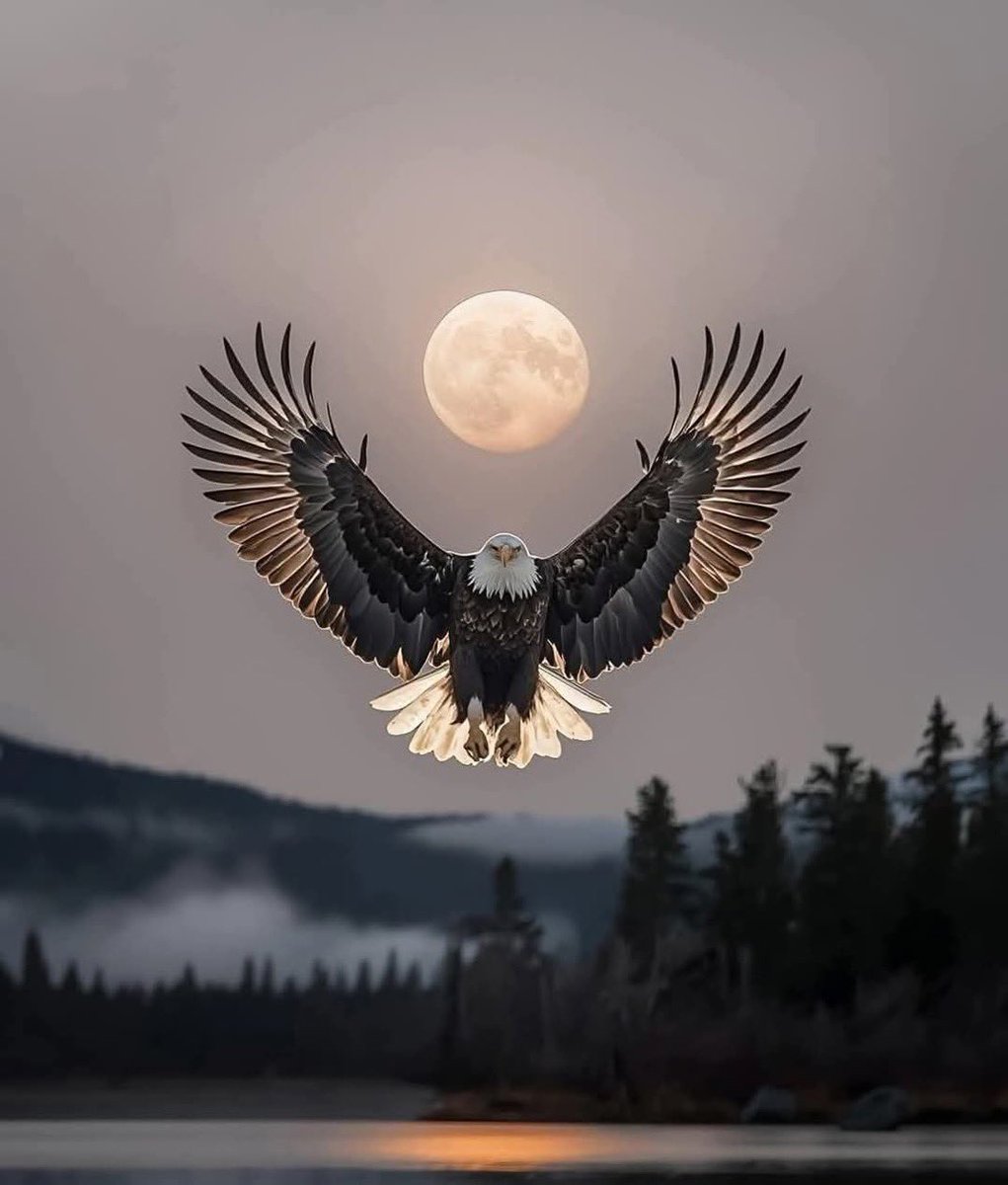 Kesinlikle doğru karar;
“National Geographic Ödüllü Yılın fotoğrafı...”