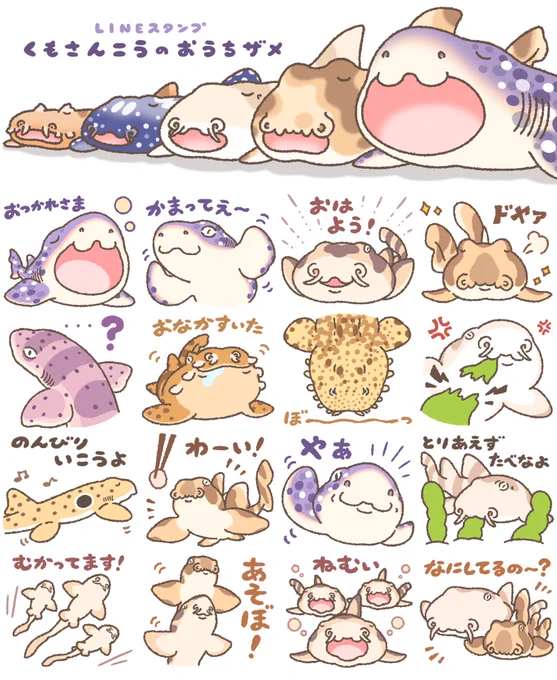 \【お仕事】/
"サメ飼育"が話題の「くもさんこう」さん
(@san_koh_kumo) のお家にいるサメさんたちがLINEスタンプになりました🎉

サンゴトラザメやマルヒゲオオセなど、底生種メインの結構レア!?なサメスタンプです!日常で使えるのでぜひ🦈✨
▶︎https://t.co/HWNNu5xVbd 