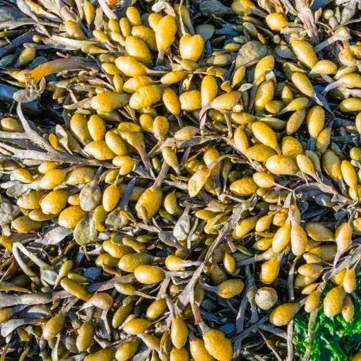 Russell Goulbourne tweet media