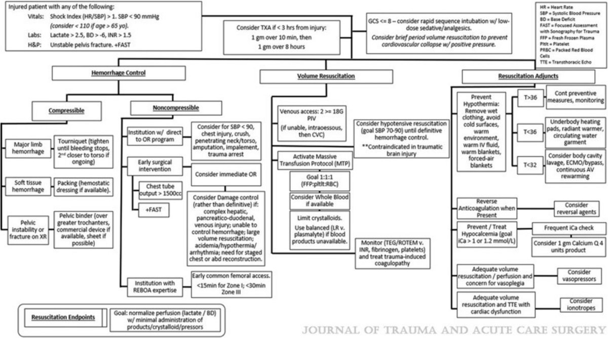 The Role of Selected Adjuncts in the Management of the Bleeding Trauma Patient: Calcium and Vasopressin

CCR Journal Watch
criticalcarereviews.com/latest-evidenc…