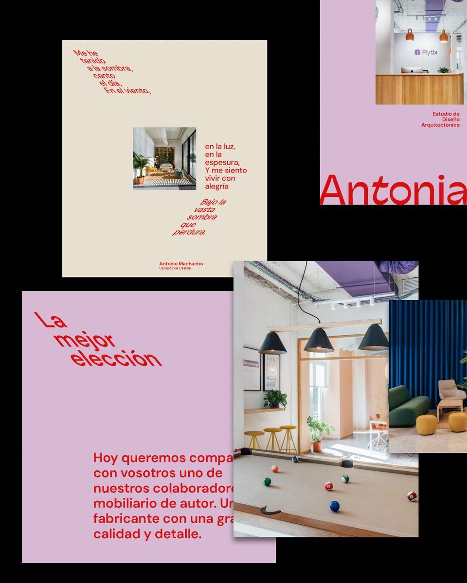 Squembri Branding & Diseño tweet media