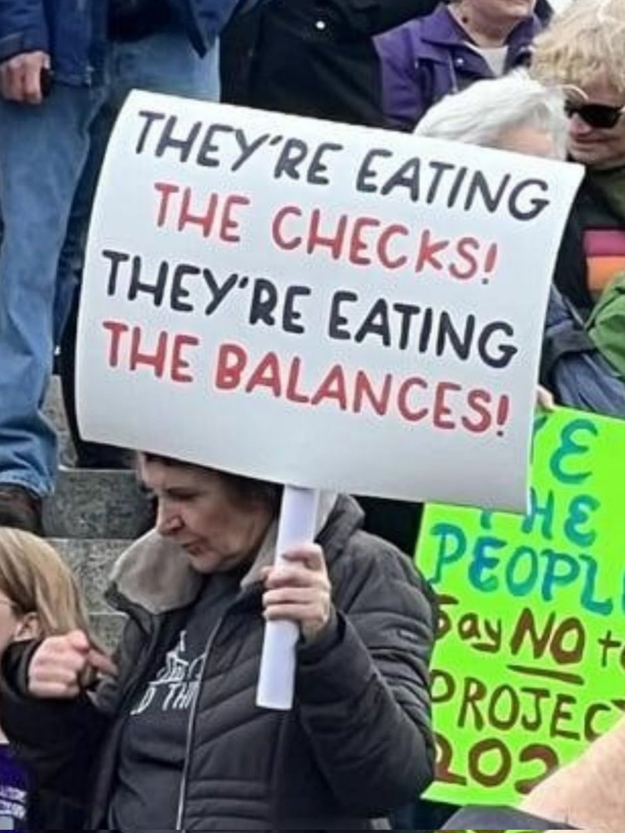 spotted at a Trump/Musk protest