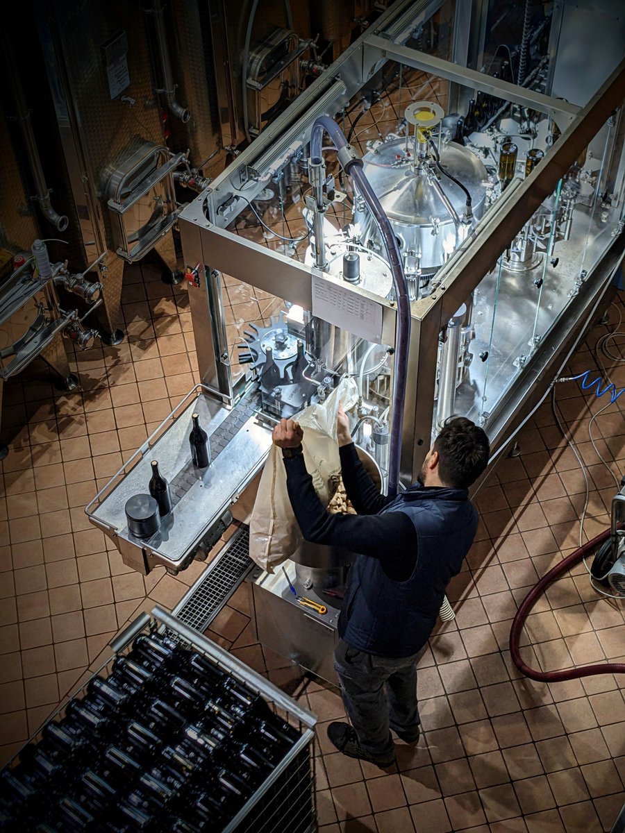 These days in the winery see the bottling of Barbaresco Bordini 2022, Barbera d'Alba Bricco dei Merli 2023 and Barbera d'Alba Pre-Phylloxera 2023.

We are both excited and looking forward to seeing the newest vintages of these three wines ready!