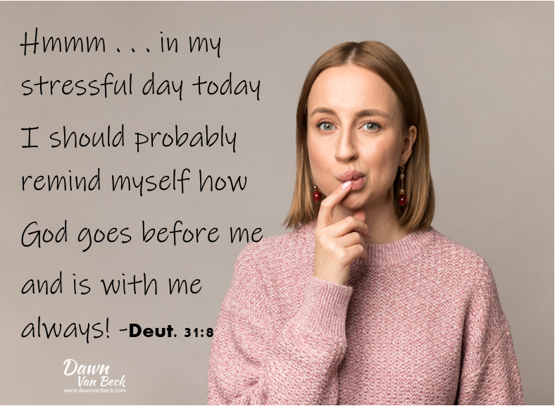 Dawn Van Beck tweet media