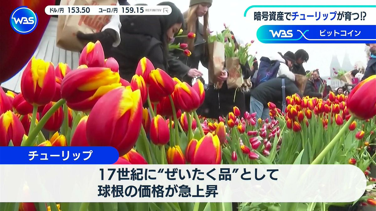 衝撃】ビットコインバブルでチューリップバブル ビットコインのマイニング装置をビニールハウスに設置して、発生する熱でビニールハウスを暖めて、チューリップ 育てて収穫。マイニングの収益を得つつ燃料費を節約。もう時代が進みすぎてて意味がわからん。
