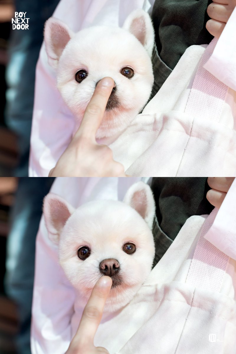 대박이이ㅣㅣ이🪽💗