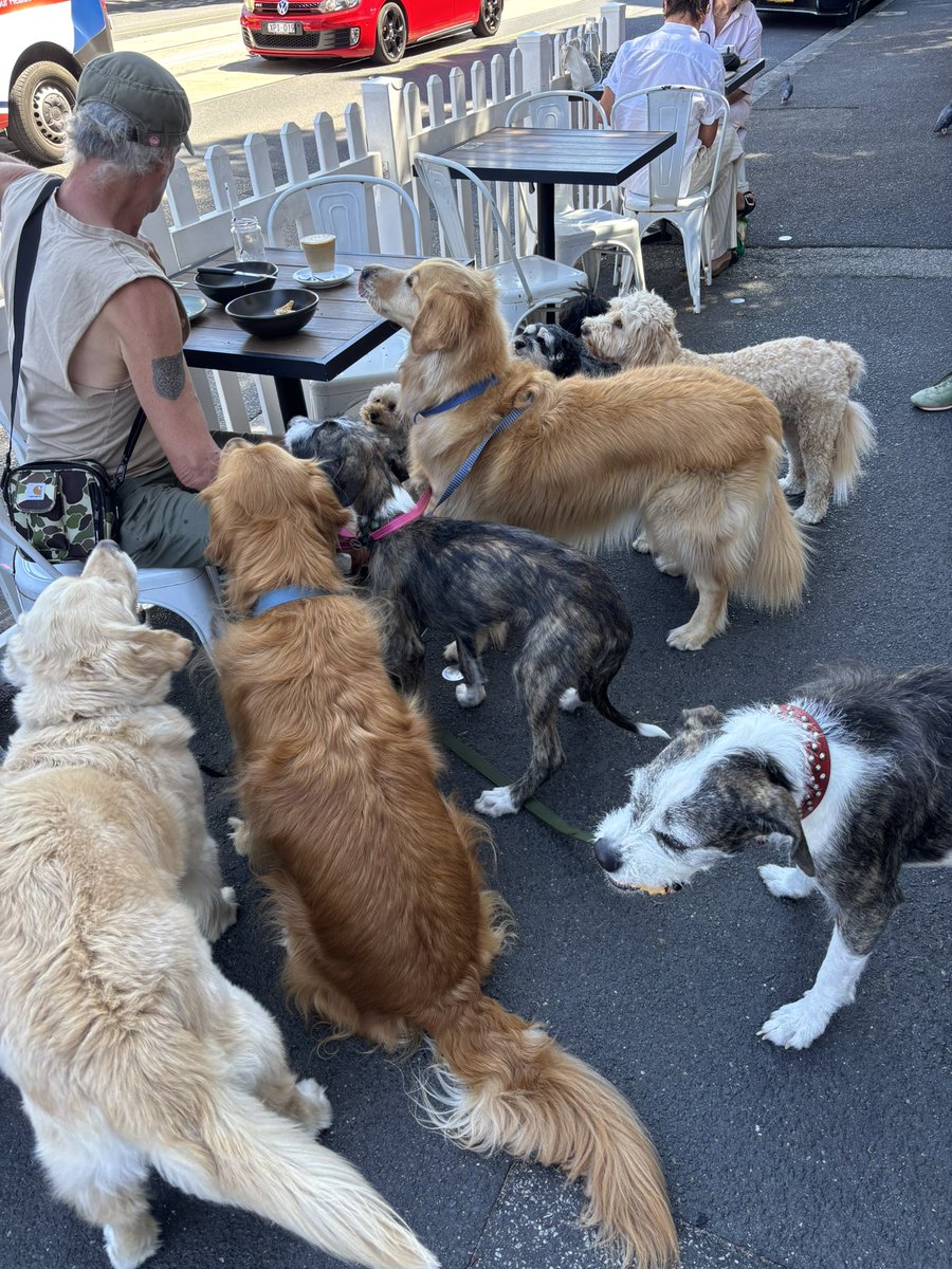 jacquirudd's tweet image. Peanut butter 🥪 anyone?  #FourthChapter 
#dogfriendly #prahran