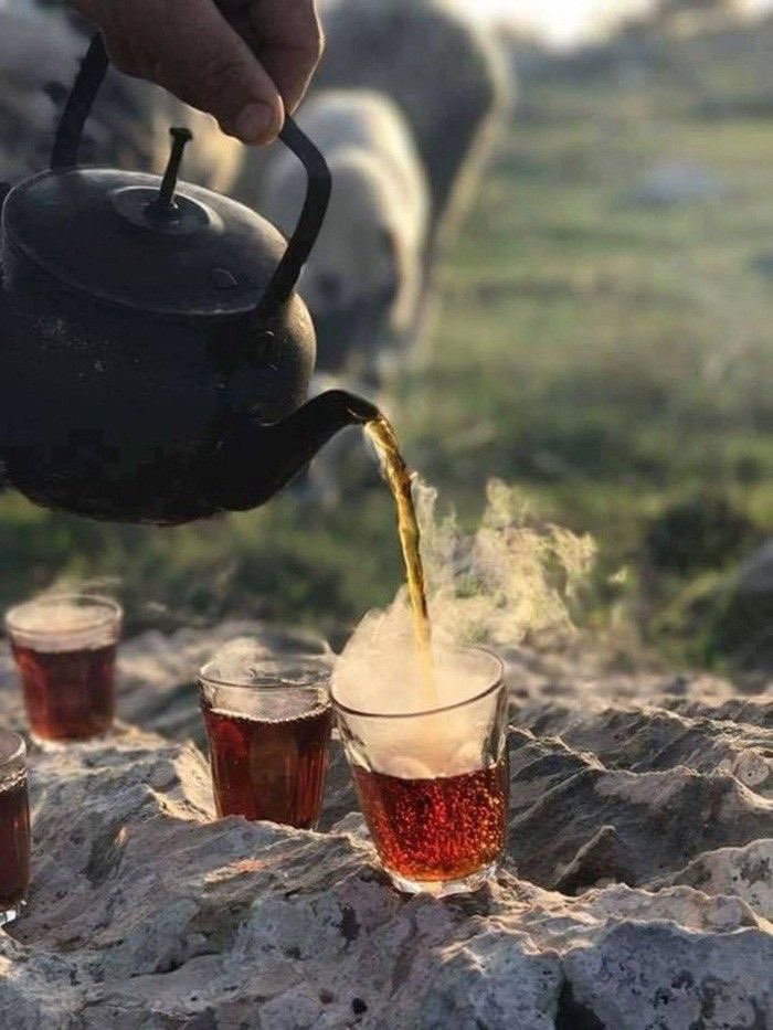digerkm's tweet photo. Çay güzeldir, çay iyidir. https://t.co/2Fyz8Ub3uZ