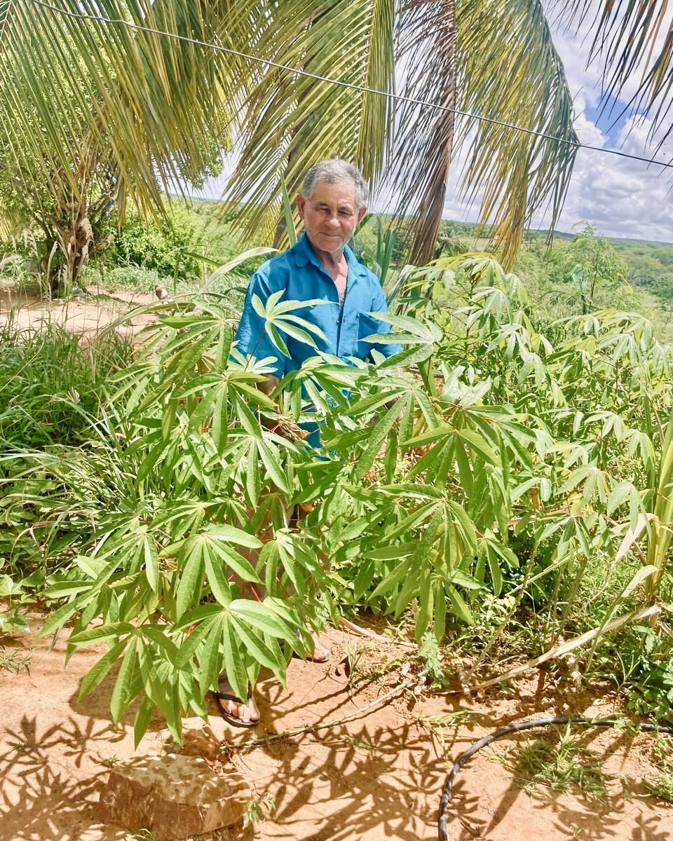 HPPBrasil's tweet photo. 🌵✅A transformação no Sisal está repleta de sustentabilidade. Realizamos em Tucano e Cansanção, na Bahia, visitas de acompanhamento, orientando produtores sobre horticultura e avicultura. Esse é o Projeto Caatinga Sustentável, realizado em parceria com a Humana People to People! https://t.co/limxJ702ah