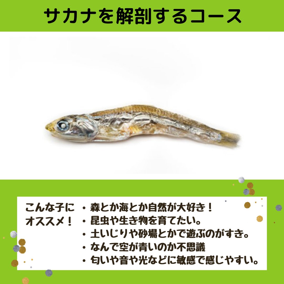 NestlabE's tweet photo. ���おうちで実験教室！の体験教室！】
小学校低学年から受付のコースはこちら。私たちオンラインで実験教室が受講できるスクールをやってます。
学校の授業がつまらなかったり、学校に居場所がなかったり。でも本当は���ぶことが好き、という子供さんと一緒に理科を楽しみたいと思っています。 https://t.co/uVYWMgdaRJ