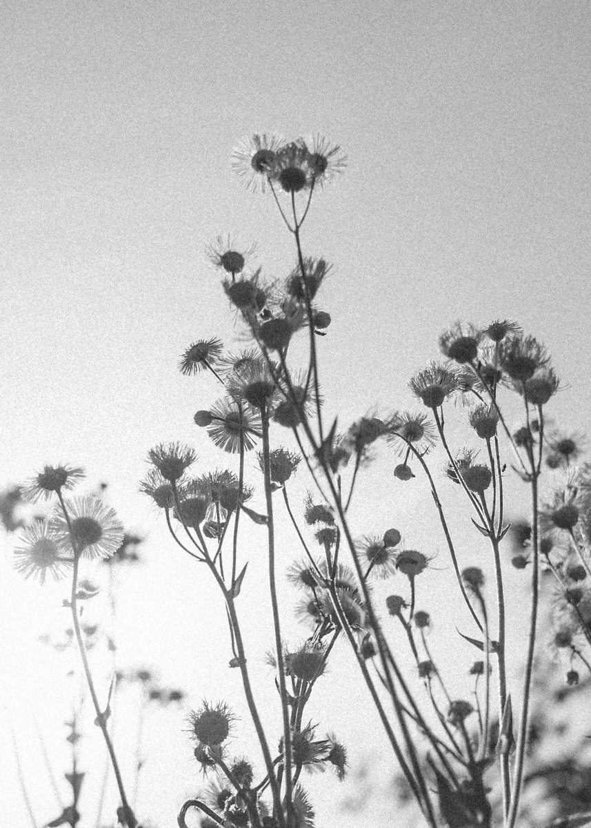 ゆた。 (@yu29_18_) on Twitter photo 