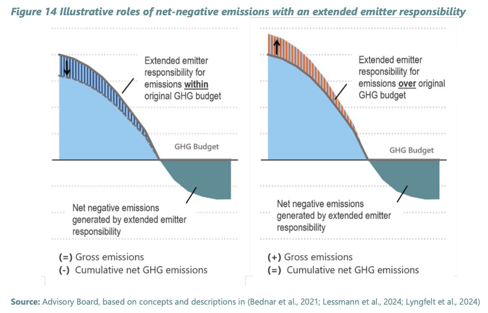 I read the 333-page report on #CarbonRemovals – here’s my take.

First, I feel for all of you who need to consume it quickly. It serves much better as an evergreen resource to explore chapter by chapter over time.

Second, kudos to everyone at the European Scientific Advisory