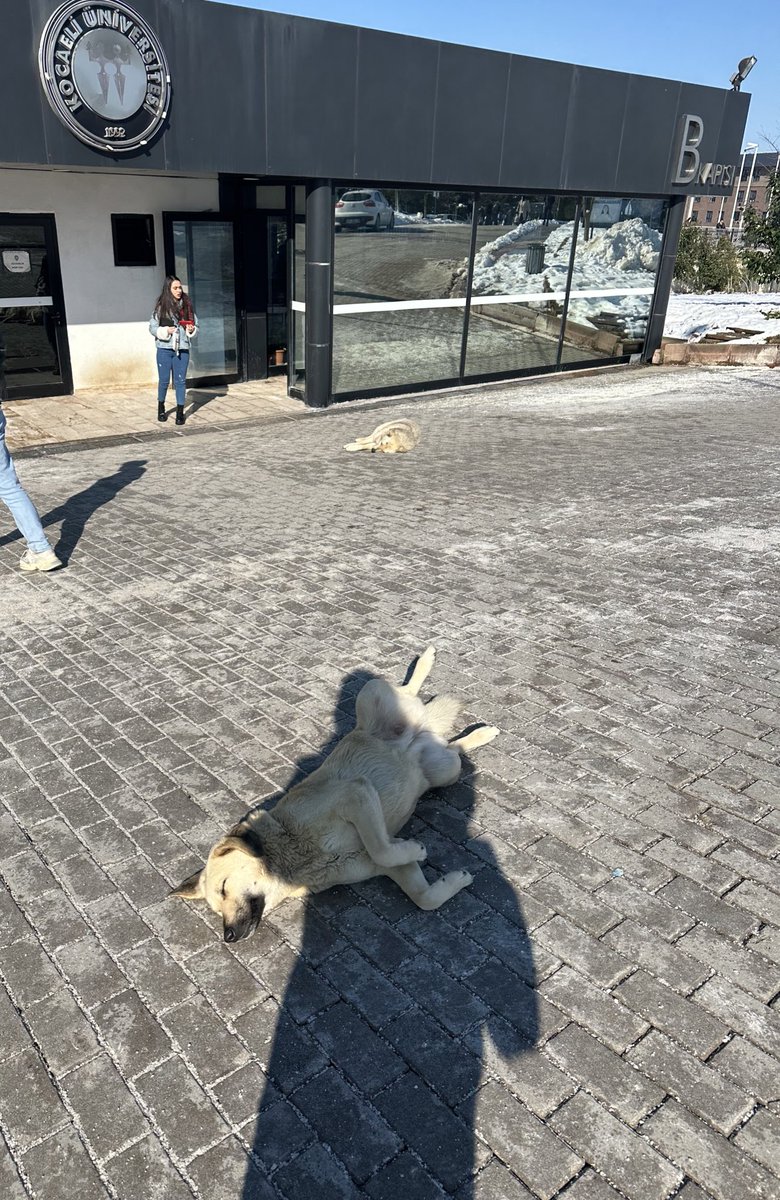 güneş açmaya başladı keyifler yerine geliyor 🩷