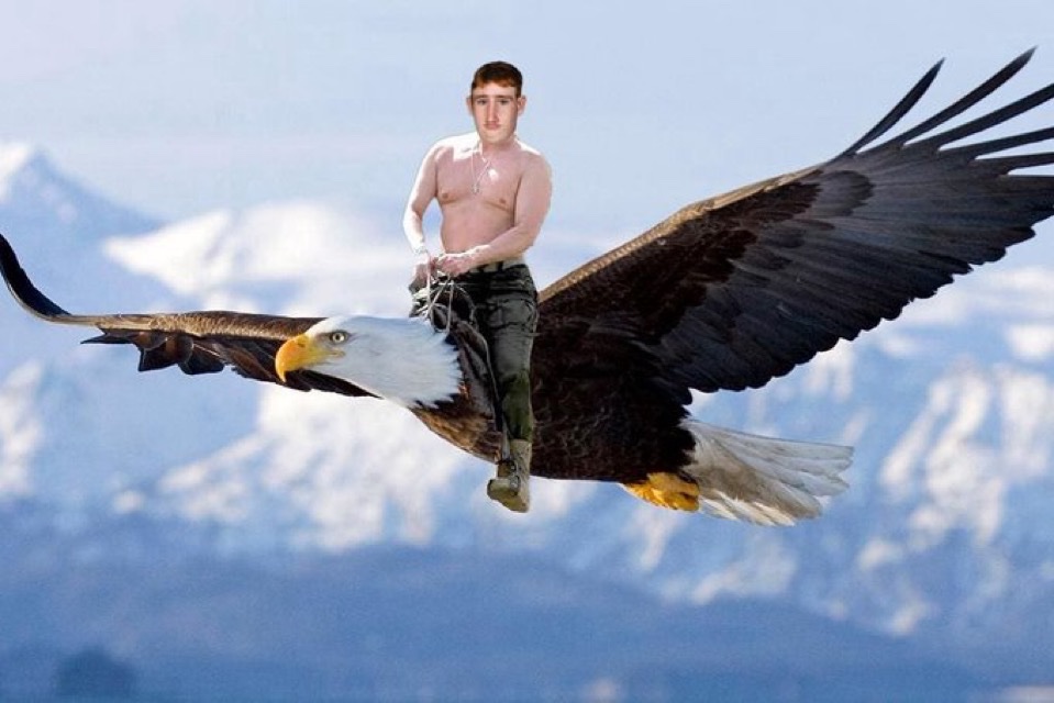 gregcoin tweet media