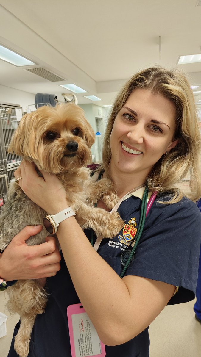 #WorldSpayDay on 25 February reminds us of the importance of spaying to prevent overpopulation, but is 6 months the right age for all dogs? New research suggests timing should be tailored to breed &amp; health. 

Spaying is key, but timing matters! Read more: bit.ly/WorldSpayDay20…