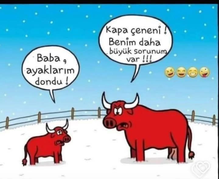 Görkem (Fetiş bdsm itaatkar) (@fetis_bdsm) on Twitter photo 