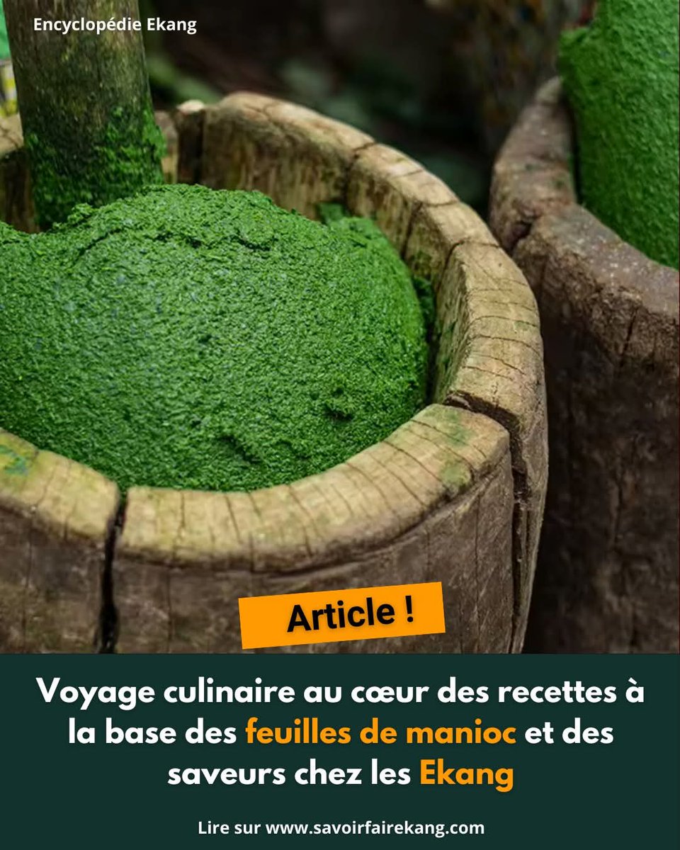 #ARTICLE 🔔 Au Cameroun 🇨🇲 : les multiples déclinaisons du #Kpwem, au Gabon 🇬🇦 et en Guinée Équatoriale 🇬🇶 : traditions culinaires autour du #Medzaa , en République du Congo 🇨🇬 : le Medzo’o et ses variantes 🌶

🔗Voici la liste des 20 plats répertoriés 👇
savoirfairekang.com/recettes-a-la-…