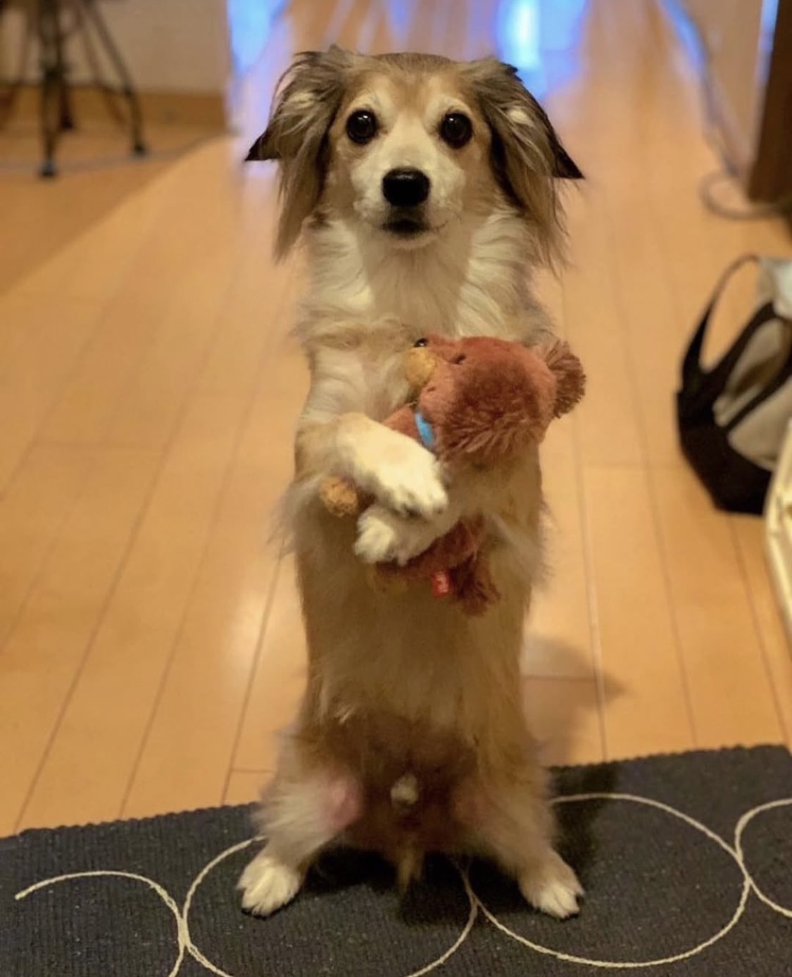 Changin'MyLife (@ChanginMyLife1) / X