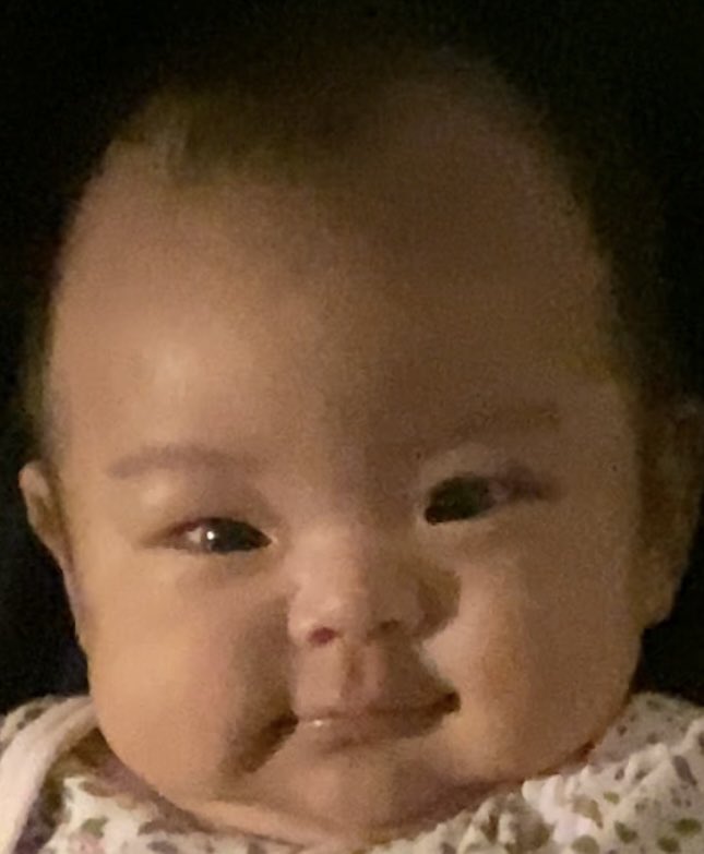 niamsster's tweet photo. Out little miss daldalita 😙 https://t.co/35tVQIcsUU