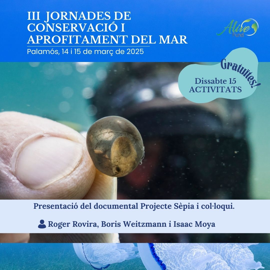 Alive Fundació (@fundacioalive) on Twitter photo El pròxim dissabte 15 de març, Roger Rovira, <a href="/WeitzmannBoris/">Boris Weitzmann</a> i Isaac Moya estaran al @MuseudelaPesca per presentar el documental de <a href="/ProjecteSepia/">ProjecteSepia</a> !
Gratuït, obert a tothom, en el marc de les IIIJornadesMarAlive a Palamós.
Inscripció alivefund.org/divulgacio/jor… El pròxim dissabte 15 de març, Roger Rovira, <a href="/WeitzmannBoris/">Boris Weitzmann</a> i Isaac Moya estaran al @MuseudelaPesca per presentar el documental de <a href="/ProjecteSepia/">ProjecteSepia</a> !
Gratuït, obert a tothom, en el marc de les IIIJornadesMarAlive a Palamós.
Inscripció alivefund.org/divulgacio/jor…