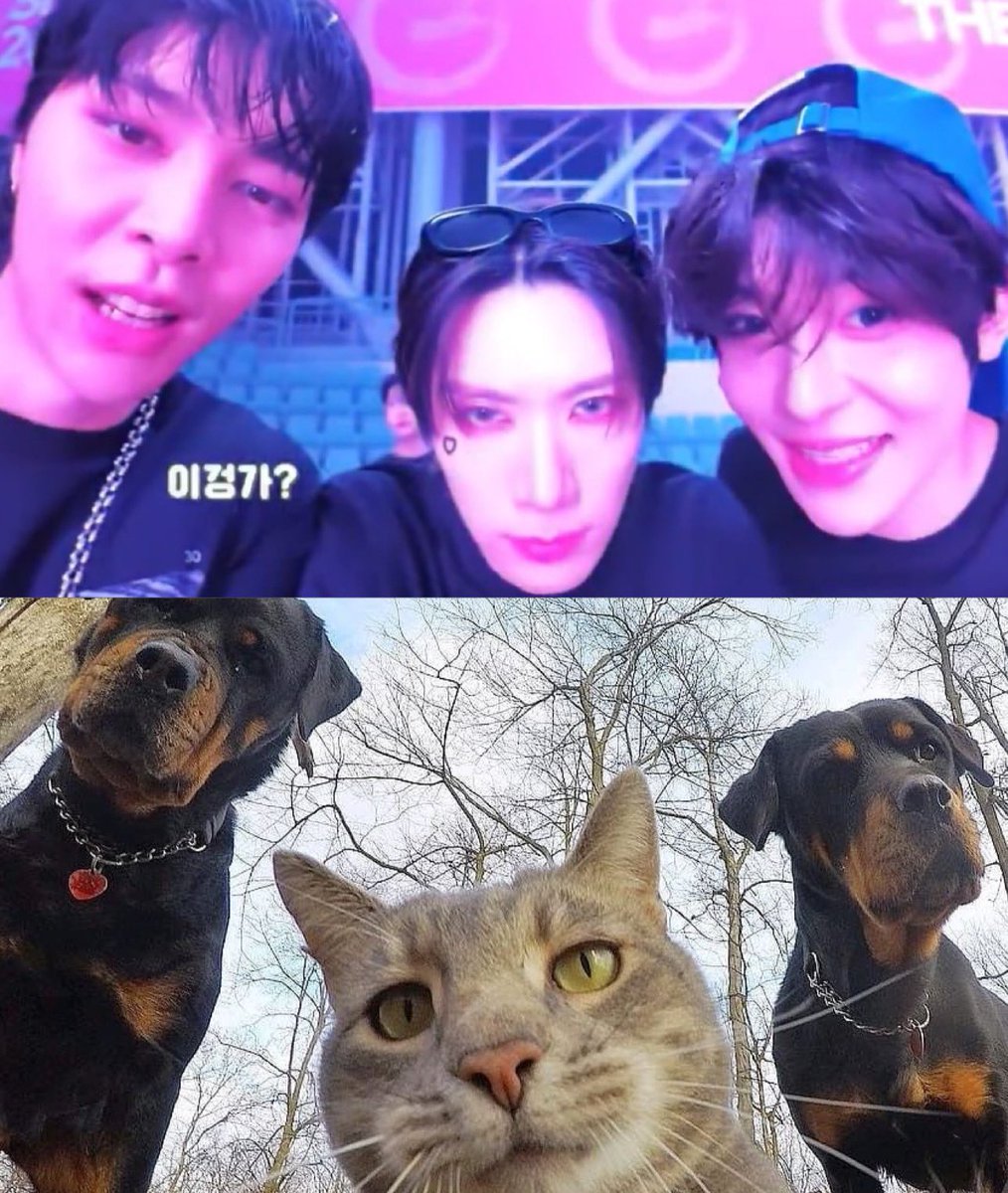 sqhsn's tweet photo. 1000% ถอดแบบเป๊ะ 55555555555555555555555 ต้องเป็นน้องเตนล์กับพวกตุ้เยนทุกทีเลย https://t.co/BQWrqWbd2p