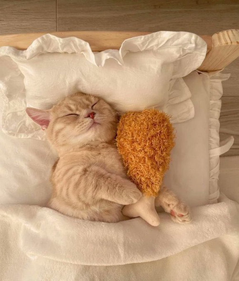 NeedCatInMyLife tweet picture