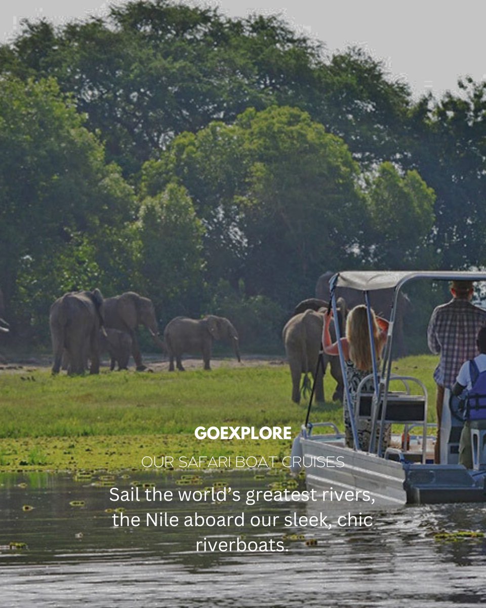 GoExplore Safaris - DMC tweet media