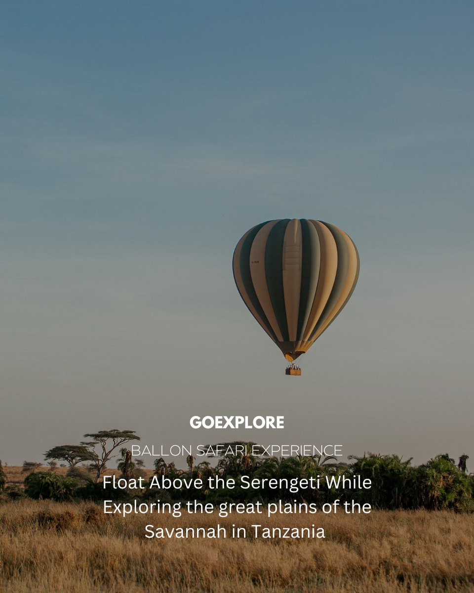 GoExplore Safaris - DMC tweet media