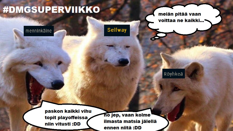 #DMGSUPERVIIKKO