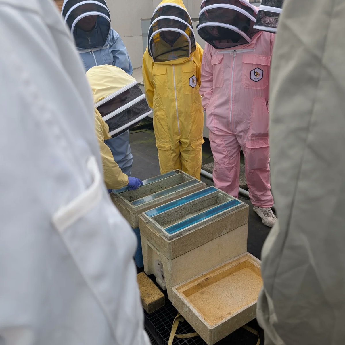 Bushwoodbees's tweet image. Had a lovely time this weekend meeting our previous students and going over spring preparation, frame making, honey extraction, hefting, etc

Everyone even brought in some food for our collective buffet

#beeinformed #londonbeekeepingcourse #londonbeekeepingexperience #eastlondon