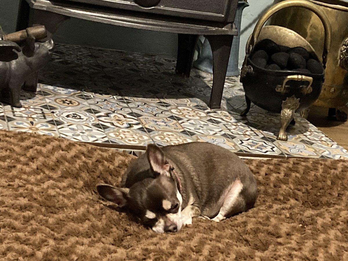 Billy Bear and Chums tweet media