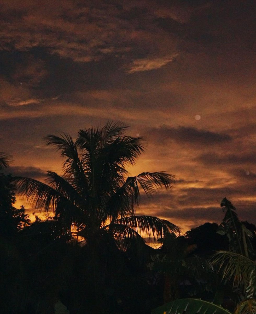 postmortemfck's tweet image. Dunia yang melelahkan dan melalaikan