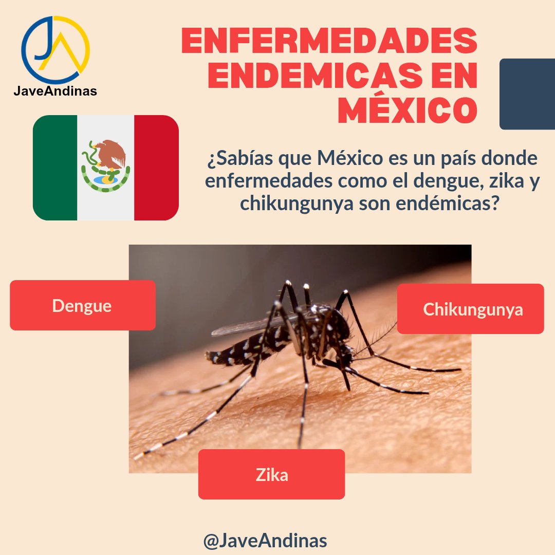 JaveAndinas's tweet photo. Las enfermedades endemicas son aquellas que se presentan de forma constante en una región. En México, el clima tropical y subtropical favorece la propagación de enfermedades transmitidas por el mosquito Aedes aegypti.

#SaludMéxico #PrevencionSalud #SaludPublica #JaveAndinas https://t.co/wMSmM3zYHo
