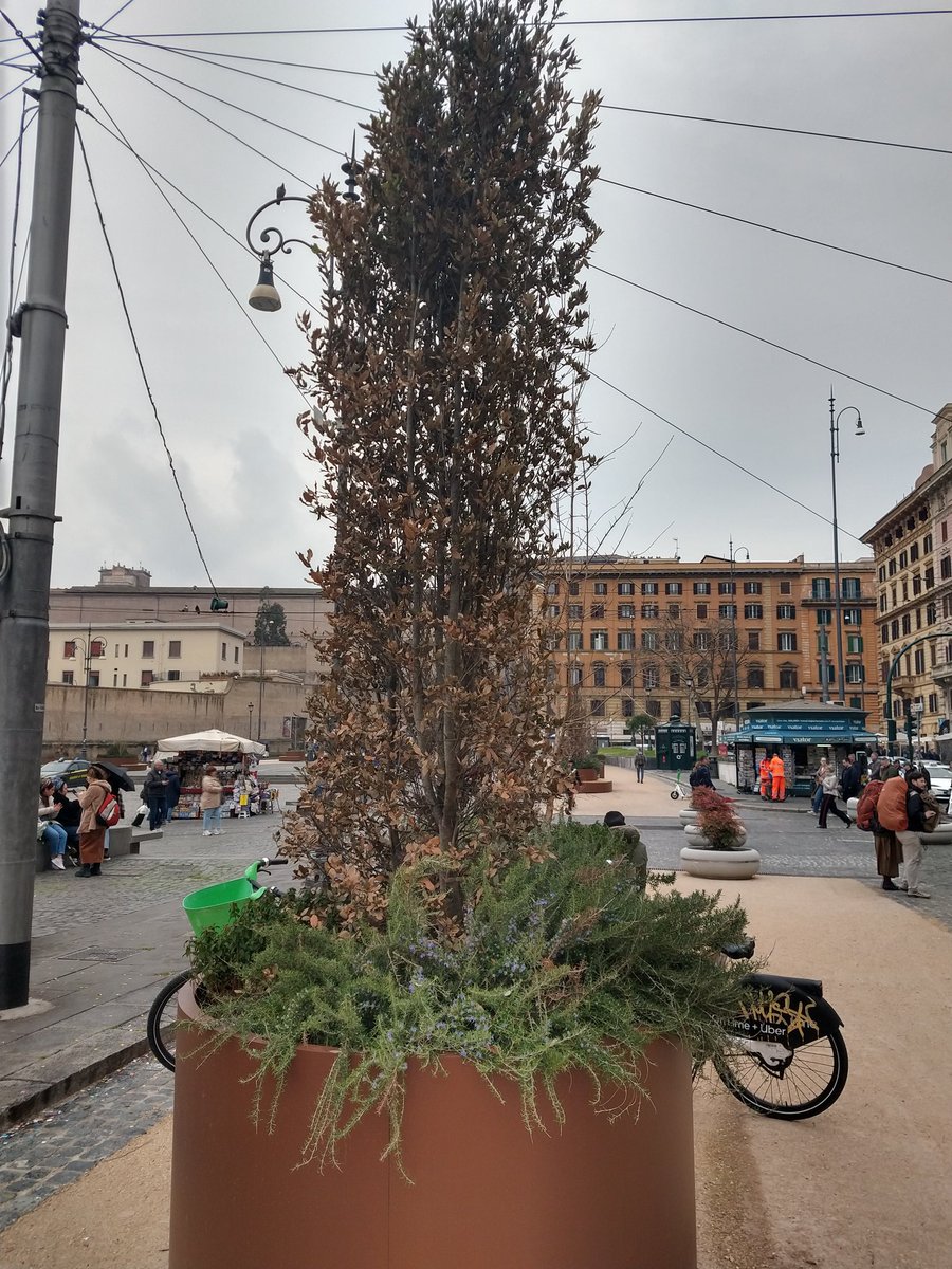 Il pollice nero!😡 <a href="/6RENZ/">Miami Bice</a> <a href="/QuinziUgo/">Ugo Quinzi</a> <a href="/battaglia_persa/">Battaglia persa</a> <a href="/GiuseppeRoma977/">Romano D.O.C.</a> <a href="/SchwarzGuido/">Guido Schwarz</a> <a href="/DilloaNoiRoma/">Dillo a Noi Roma</a>  <a href="/salviamoroma/">@salviamoroma</a> <a href="/romanoesaurito/">Alzatore di tergicristalli</a> <a href="/chiccoeri/">Emme 🚲🌳</a> <a href="/RiprendRoma/">Riprendiamoci Roma</a> <a href="/Luce_Roma/">Luce su Roma</a>  <a href="/diarioromano/">diarioromano</a> <a href="/mcacciaglia64/">mcaccia</a> <a href="/gdt62/">gaetano di tondo</a>  <a href="/RiganteLeonardo/">Leonardo Rigante 🇺🇦</a> <a href="/gloquenzi/">giancarlo loquenzi</a> <a href="/antonellatonon1/">anto28👑</a> <a href="/Antincivili/">Segnalatore Seriale</a> <a href="/alfredoferrante/">Alfredo Ferrante</a>