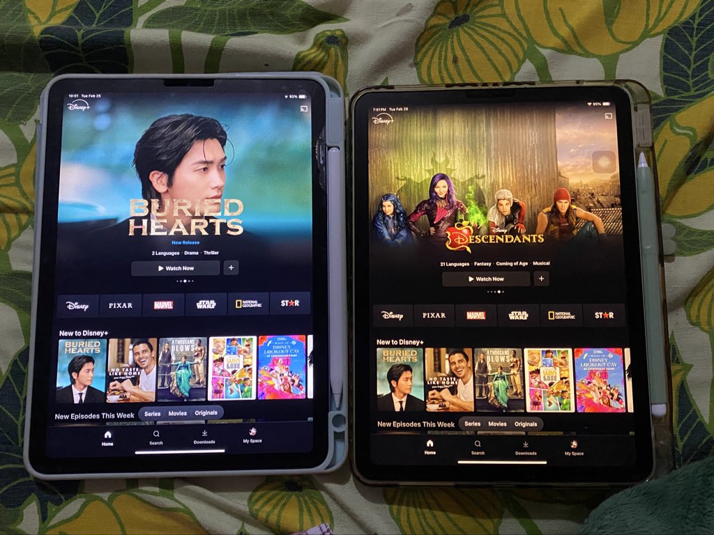 graykartz's tweet image. thank you @bononkive 💓 #mwnprfs