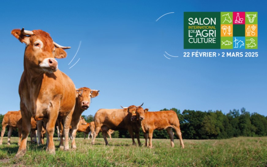 CCI_Paris_IdF's tweet image. #LSV
En plus d'une grande métropole, l'@iledefrance est une grande région agricole 🚜
✅presque 50% de son territoire en 2024 (600 000 ha) y est consacré !
✅+ de 4 000 exploitations 🥬🌽
✅près de 13 000 emplois 🧑‍🌾👩‍🌾
En savoir + 👉iledefrance.fr/tous-les-evene…