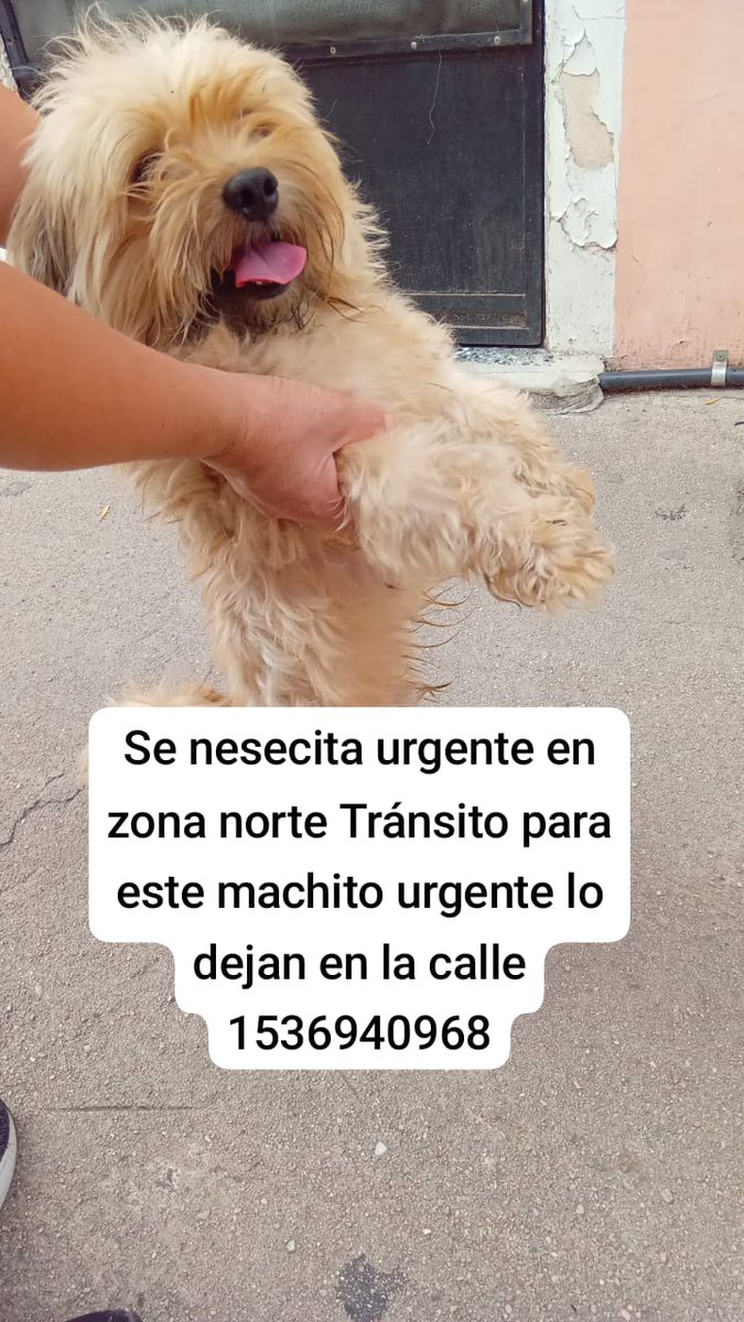 patripeyrou's tweet photo. Difundimos https://t.co/P0SFSum9An