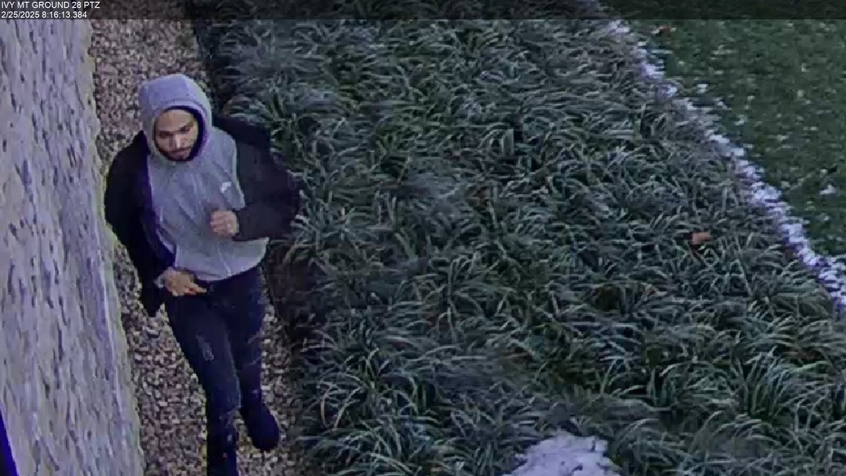 UVAPolice's tweet image. UVA Emergency Alert: Police are looking for a suspect in the Alderman area. All students, faculty, and staff should shelter in place if on Grounds. The suspect is a 6’4 Black Male wearing a gray hoodie. Please avoid the suspect. If seen, please call 911.