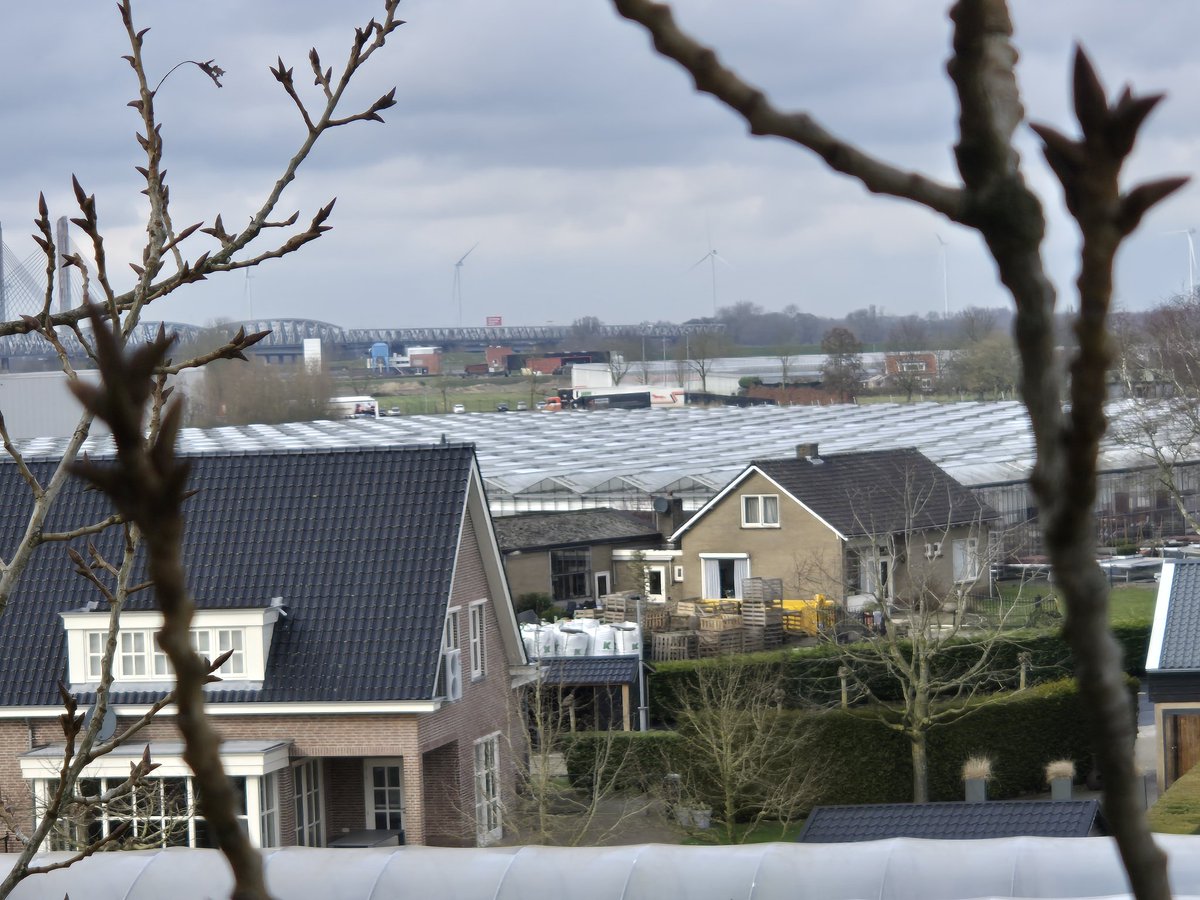 GerritHTR's tweet image. Ik hang wat rond.
#TreeWork #TreeRemoval #BoomVerwijderen