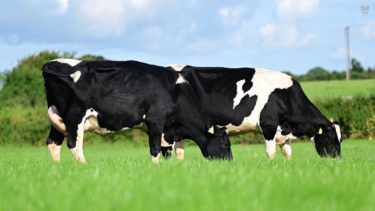 Conor O Brien tweet media