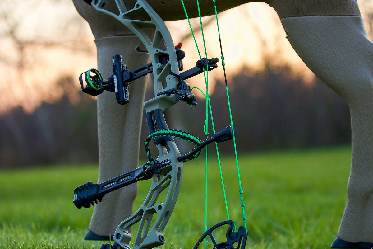 ABBbowstrings's tweet image. Warmer weather and 3D targets are on the horizon.