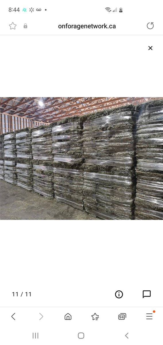 We specialize in high-quality export hay – Alfalfa, Timothy, Timothy Alfalfa, and Meadowgrass hay available for export!

Compacted export bales are approximately 60lb each, and each bundle of 24 bales is 1,500lb. 

Contact us today to get a quote!

onforagenetwork.ca/ontario-hay-fo…
#Dubai