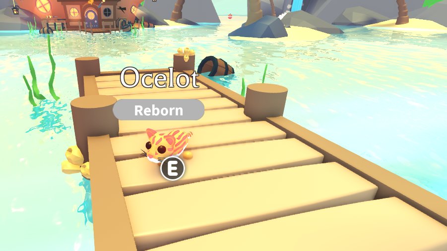 mega and neon ocelots giveaway!

2 winners!

rules:

follow me

like and retweet

ends in 4 days

kw:roblox robux rbx gw royale high adopt me mm2 rh rhd dims diamonds set sets halo halos rare item items amp pets pet mfr nfr high mid low tier fly ride values weapons

good luck!