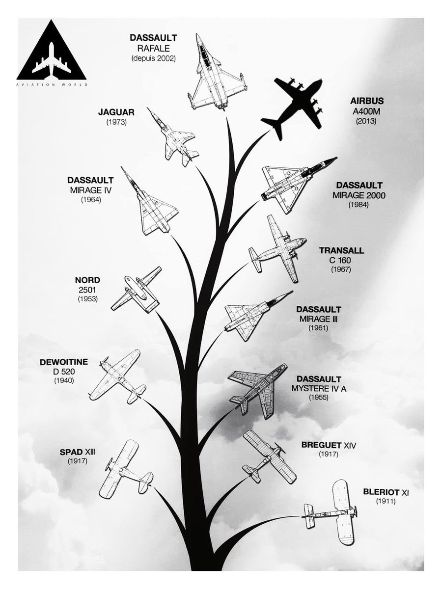 “Cet incroyable « arbre de l'aviation » montre magnifiquement l'évolution de l'avion français sur plus d'un siècle 💙

Du pionnier Blériot XI (1911), qui a réalisé l'un des premiers vols motorisés, au Dassault Rafale de pointe (depuis 2002), l'ingénierie aérospatiale française a