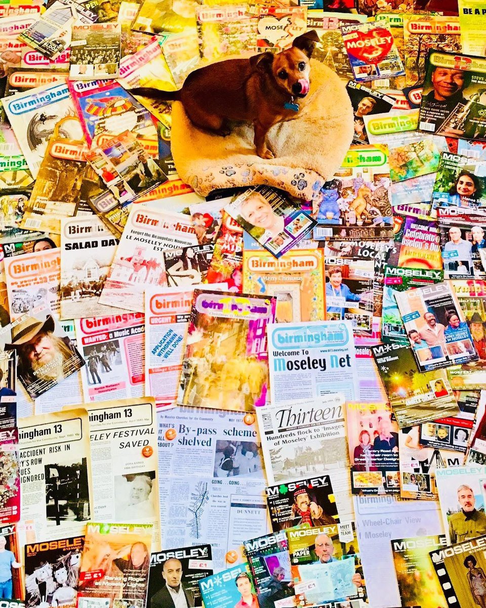 Tweet media one