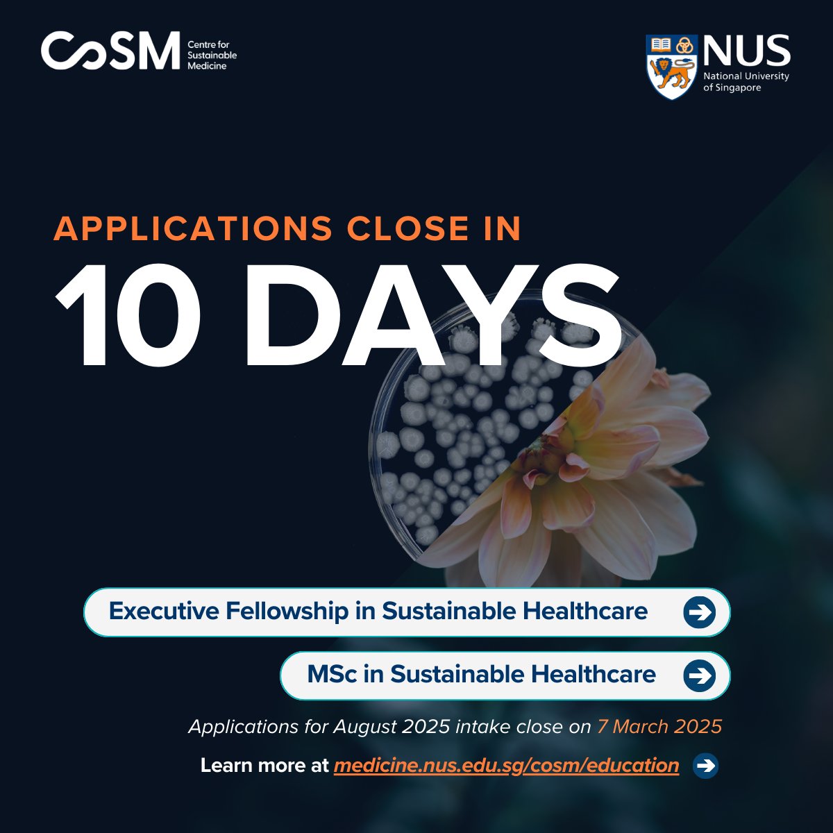 SustainCoSM's tweet image. 📢 Applications to our MSc in Sustainable Healthcare and Executive Fellowship close in 10 days! 
Elevate your career— join us for this exciting net zero journey in healthcare.
Apply now! ➡️ medicine.nus.edu.sg/cosm/education/
#SustainableHealthcare #MScProgram #GraduateStudies