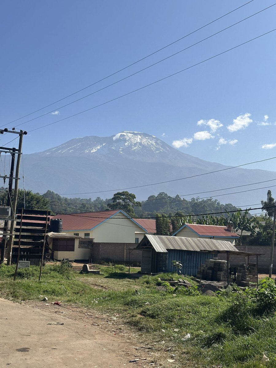 Brandon Chu tweet media