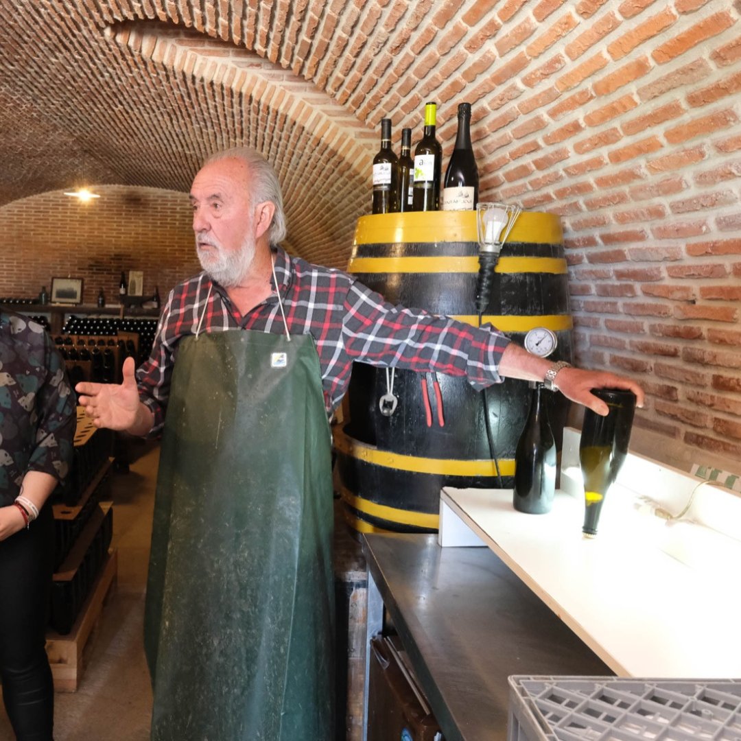 Innovación en cada sorbo 💡🍇
En Bodegas Vidular combinamos tradición e innovación para crear vinos únicos. ¿Sabías que fermentamos en acero inoxidable para preservar los aromas más frescos? Descúbrelo en nuestras visitas guiadas👇
bodegasvidular.es