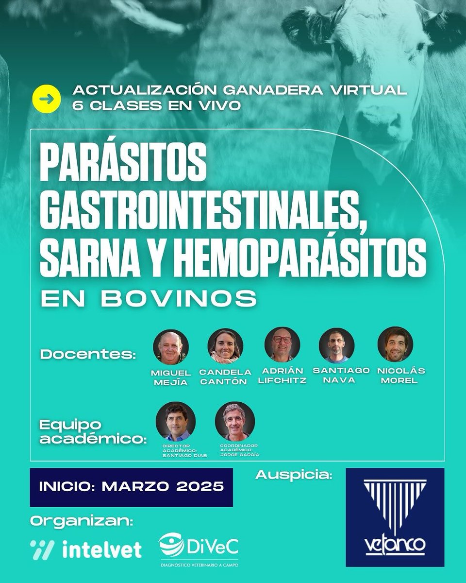 Mejiavet's tweet photo. A los vetes
Atención a este curso, que empieza en marzo. Vamos a contar con  grandes disertantes como Candela Cantón, Adrian Lifschitz, Santiago Nava y Nicolas Morel.
En la actualidad, con la reaparición de la sarna y la presencia de resistencia, es importante estar actualizado. https://t.co/sSXRluTGb0