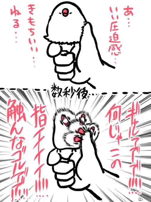 RIFUJIN BIRD BUNCHO 